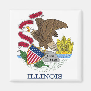 Imã Magnet com Flag of Illinois State - EUA