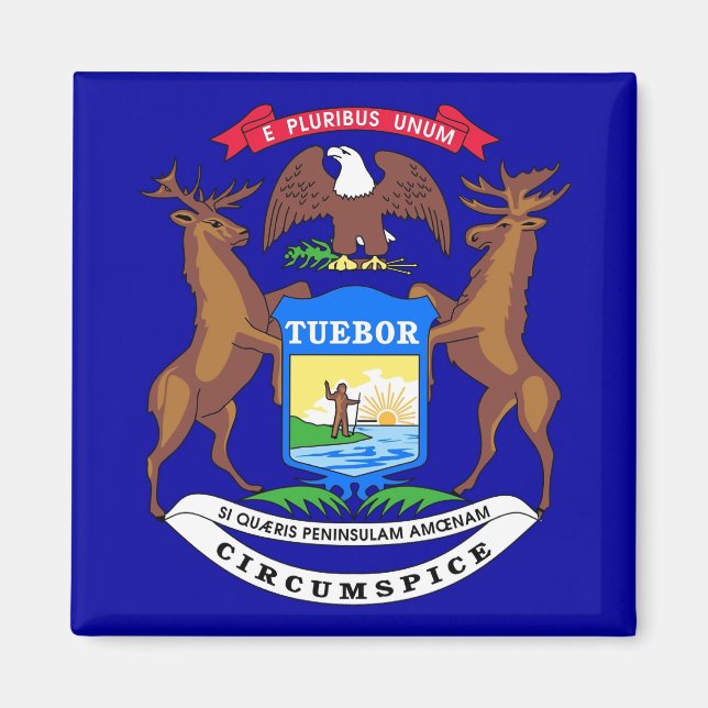 Imã Magnet com Flag of Michigan State - EUA (Frente)