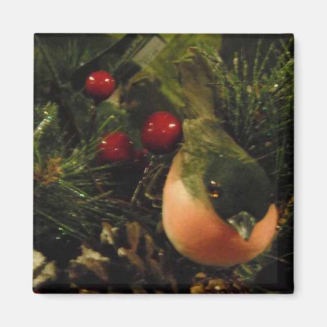 Imã Magnet Com Pássaro (Frente)