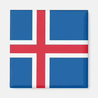 Imã Magnet com pavilhão da Islândia