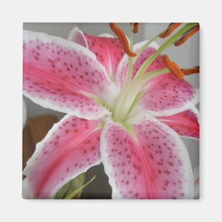 IMÃ MAGNET COM PINK LILY