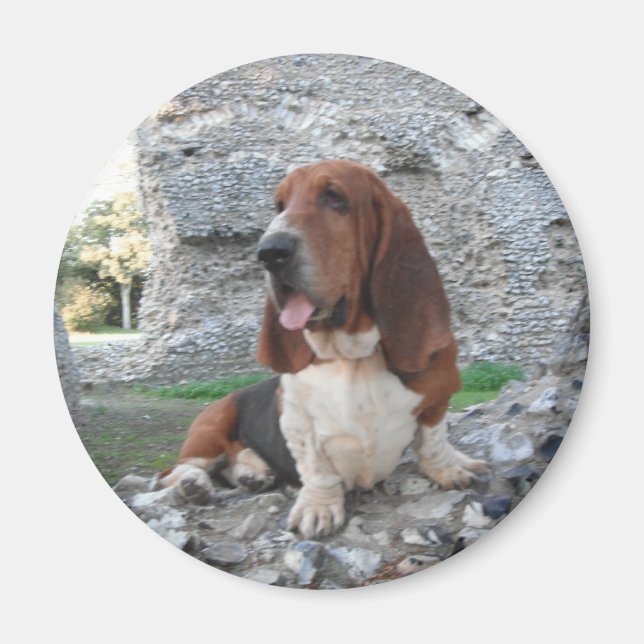 Imã Magnet Com Visita De Ruínas Do Castelo De Hound Ba (Frente)
