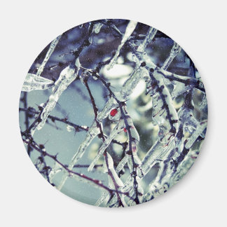 Imã Magnet congelado