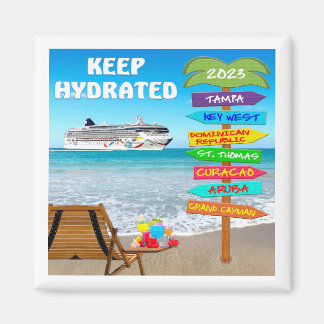 Imã Magnet - Cruise 2023