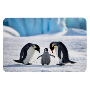 Ímã Magnet da Família Penguin