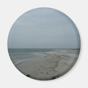 Imã Magnet da Ilha Dauphin #2