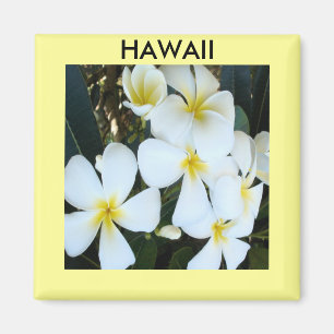 Imã Magnet da Plumeria do Havaí