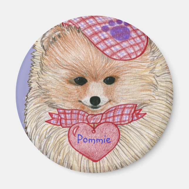 Imã Magnet da Pomerânia (Frente)