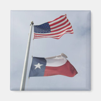 Imã Magnet da Praça da Bandeira do Texas e dos Estados