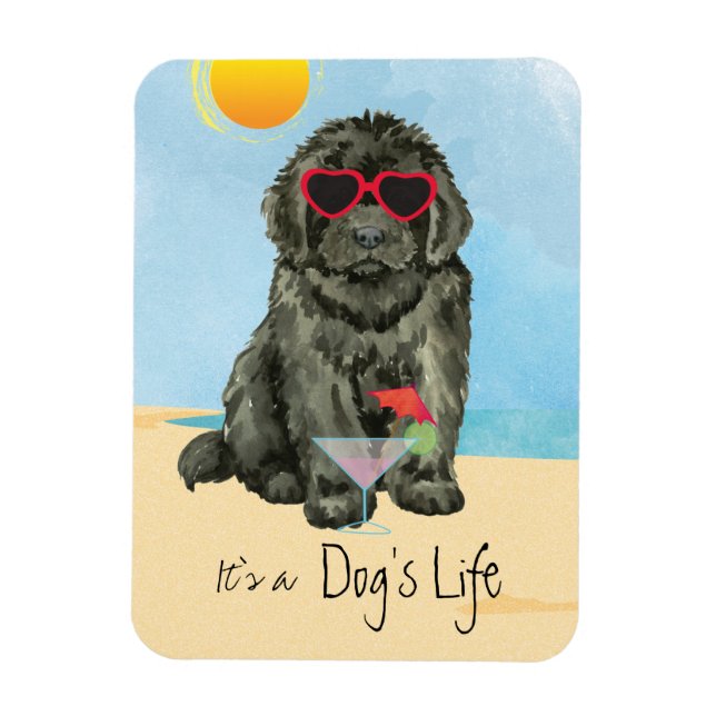 Ímã Magnet da Terra Nova de Verão (Vertical)