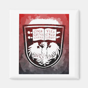 Imã Magnet da Universidade de Chicago Seal