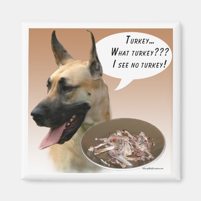 Imã Magnet Dane Turquia (Frente)