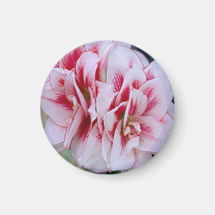 Imã Magnet das flores rosa