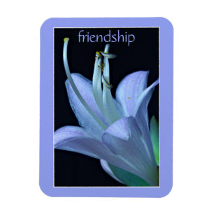 Ímã Magnet de Amizade de Lavanda de Flor Hosta
