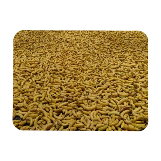 Ímã Magnet de Bananas 3"x4" (Horizontal)