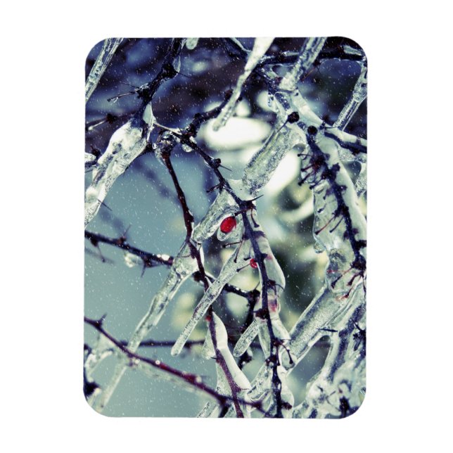 Ímã Magnet De Berry Premium Congelado (Vertical)