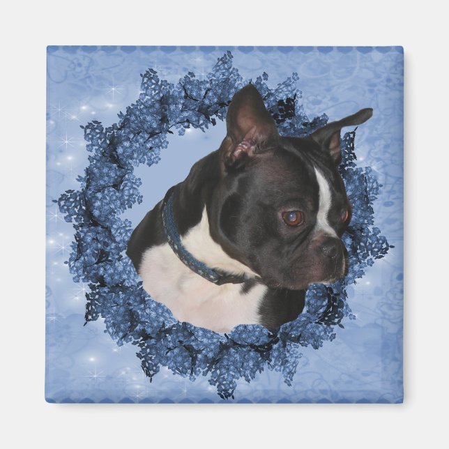 Imã Magnet de Boston Terrier Dog (Frente)