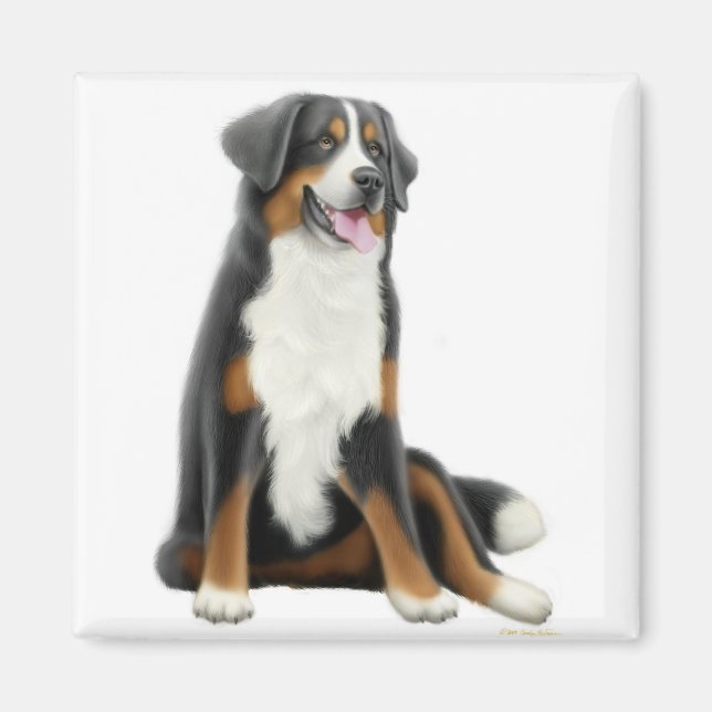 Imã Magnet de Cachorro da Montanha Bernese (Frente)