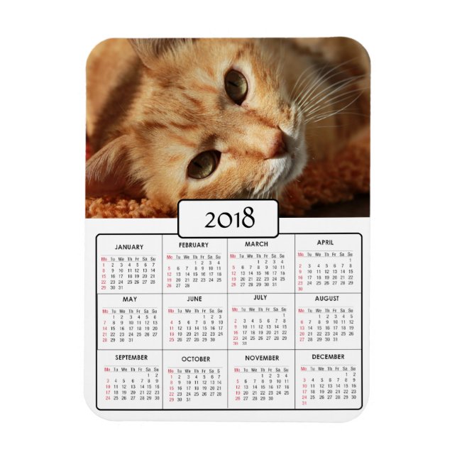 Ímã Magnet de Calendário Personalizado Cat Photo 2018 (Vertical)