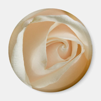 Imã Magnet de Casamento de Rosa de Peach