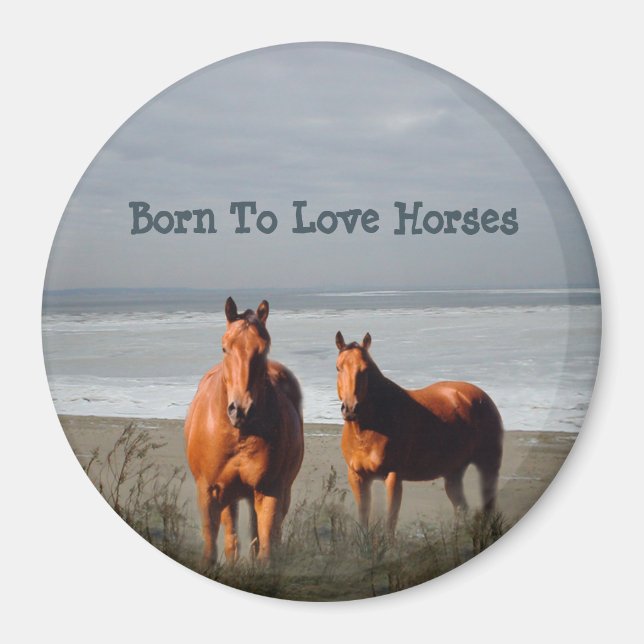 Imã Magnet de Cavalos de Praia (Frente)
