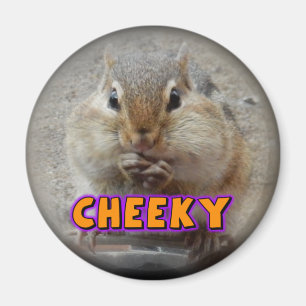 Imã Magnet De Chipmunk Cheeky