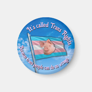 Imã Magnet de Direitos Trans