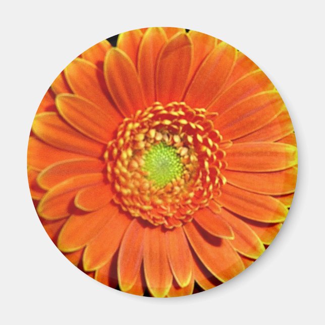 Imã Magnet de Flor Amarelo Laranja (Frente)