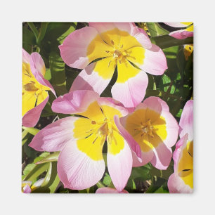 Imã Magnet de flores rosa e amarelas