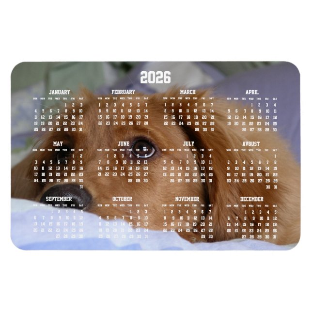 Ímã Magnet de Foto Grande para Calendário do Retriever (Horizontal)
