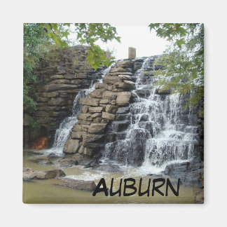 Imã Magnet De Fotografia Da Caiola Aquática De Auburn