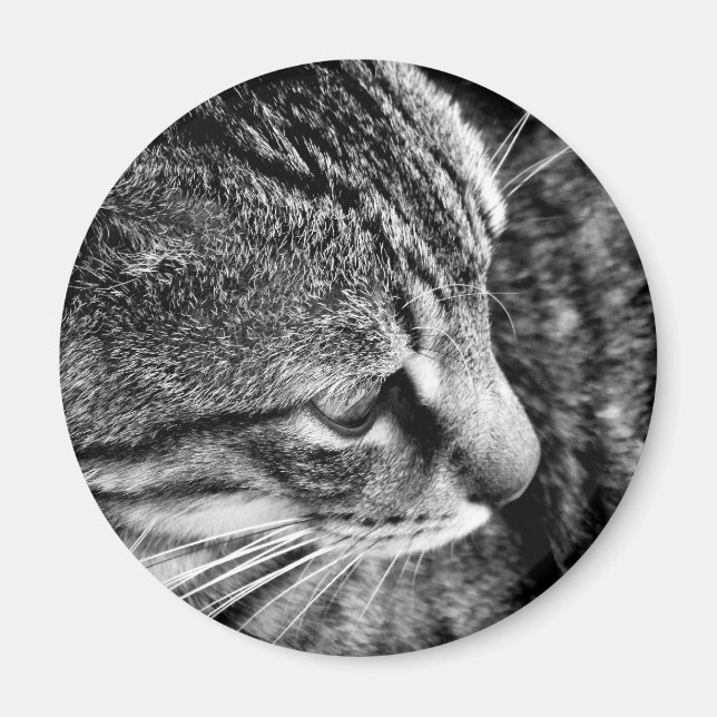 Imã Magnet de Fotografias Cat (Frente)