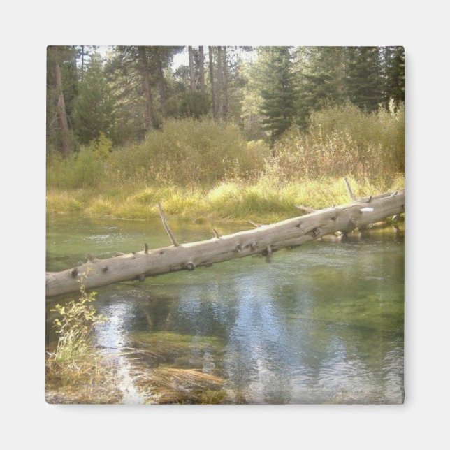 Imã Magnet de Fotografias de Creek em Árvore (Frente)
