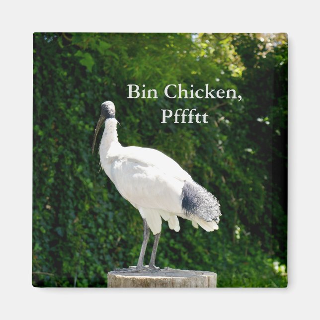 Imã Magnet De Frango caixa (Ibis) (Frente)