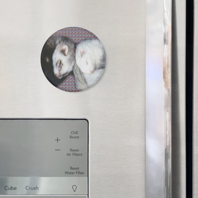 Imã Magnet de Furões de Sonhos Doce (In Situ (Fridge))