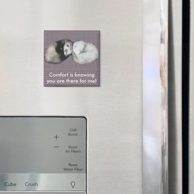 Imã Magnet de Furões de Sonhos Doce (In Situ (Fridge))