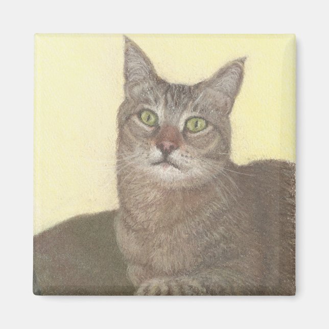 Imã Magnet de Gato Abissino (Frente)