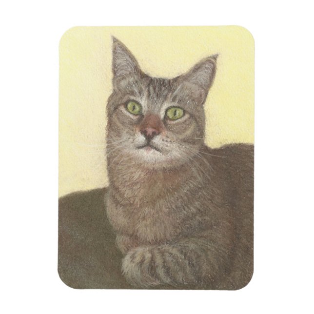 Ímã Magnet de Gato Abissino (Vertical)