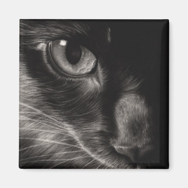 Imã Magnet de Gato de Bela Negra (Frente)