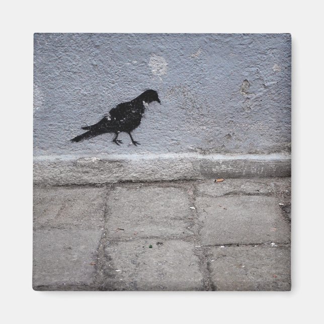 Imã Magnet De Grafite De Pombo (Frente)