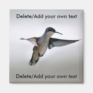 Imã Magnet de Hummingbird