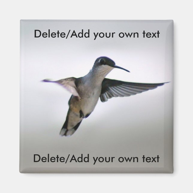 Imã Magnet de Hummingbird (Frente)