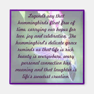 Imã Magnet de Hummingbird