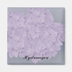 Imã Magnet de Hydrangea Lavanda adorável