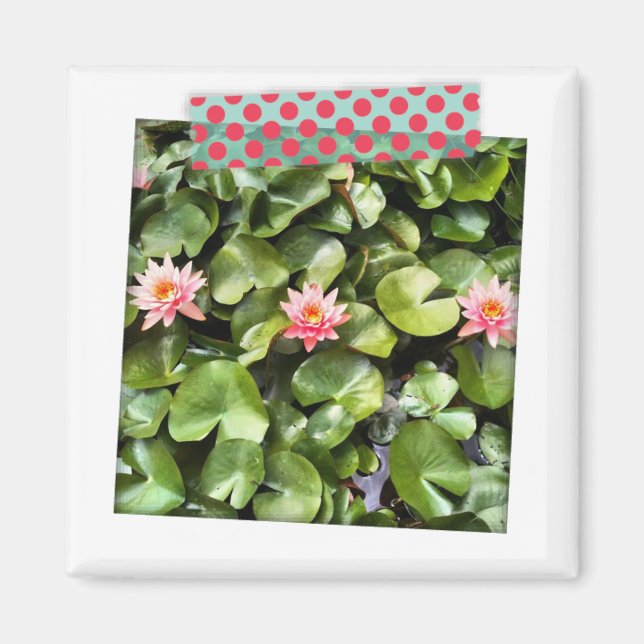 Imã Magnet de Instagram de Fita de Washington de Ponto (Frente)