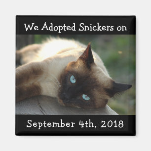 Imã Magnet de Lembrete Personalizado de Adoção de Ca