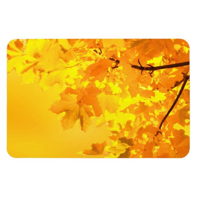 Ímã Magnet de Mapeamento Amarelo (Horizontal)