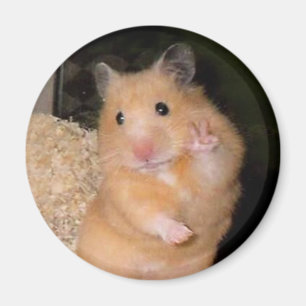 Imã Magnet de Memória do Hamster da Paz