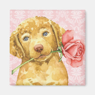 Imã Magnet de namorados Rosa Chesapeake Bay Retriever