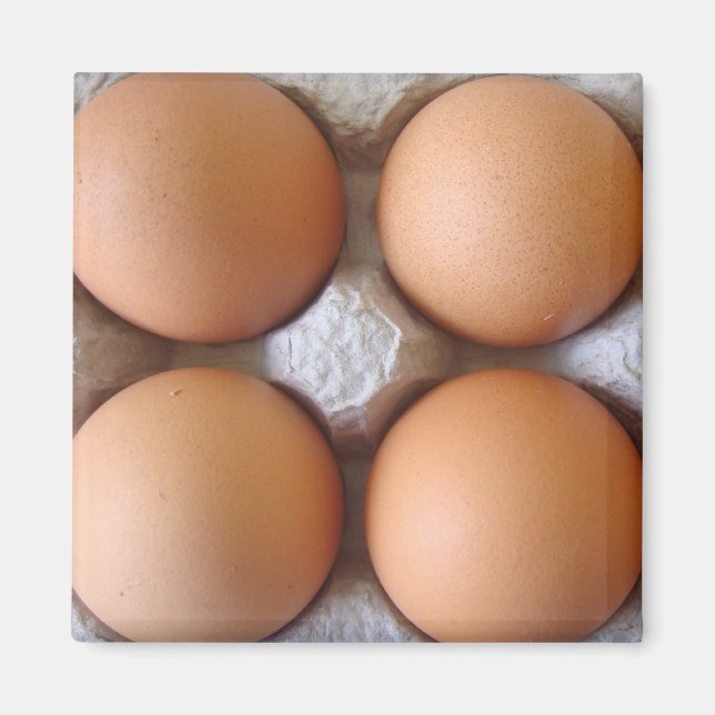 Imã Magnet De Ovos Castanhos (Frente)